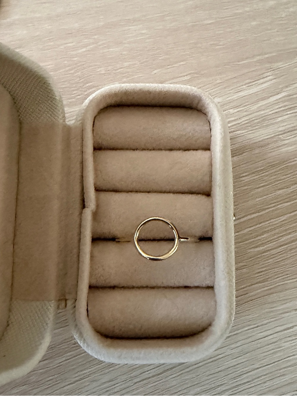 14k Gold Mejuri Circle Ring
